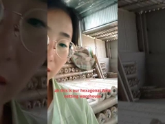 हेक्सागोनल वायर नेट