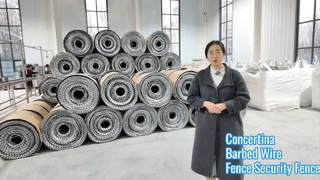 घर की दीवारों के लिए उच्च सुरक्षा रेज़र तार