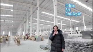 बांध के जीर्णोद्धार के लिए मजबूत रिटेनिंग वॉल के लिए हेस्को बैरियर प्रोडक्शन गेबियन बॉक्स का सेना उपयोग